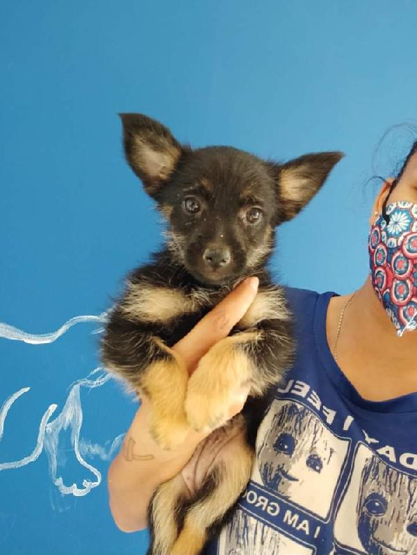 Kiky, Taglia Piccola!