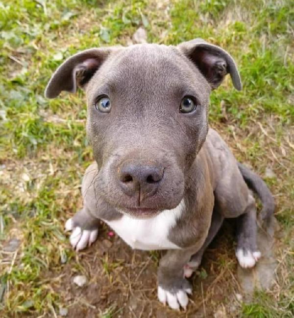 Greg! (3 Mesi E Mezzo)