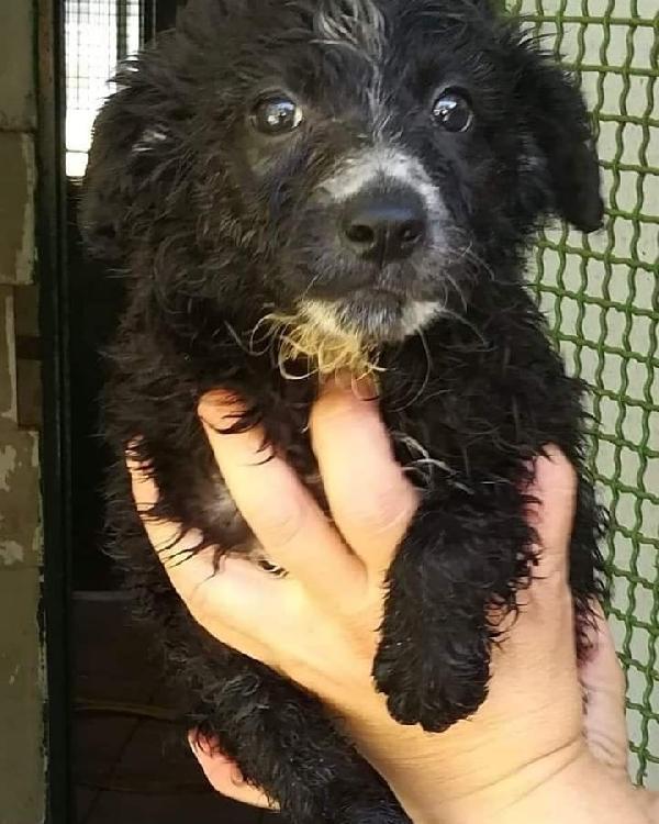 Nathan&Nuccio, Taglia Piccola!