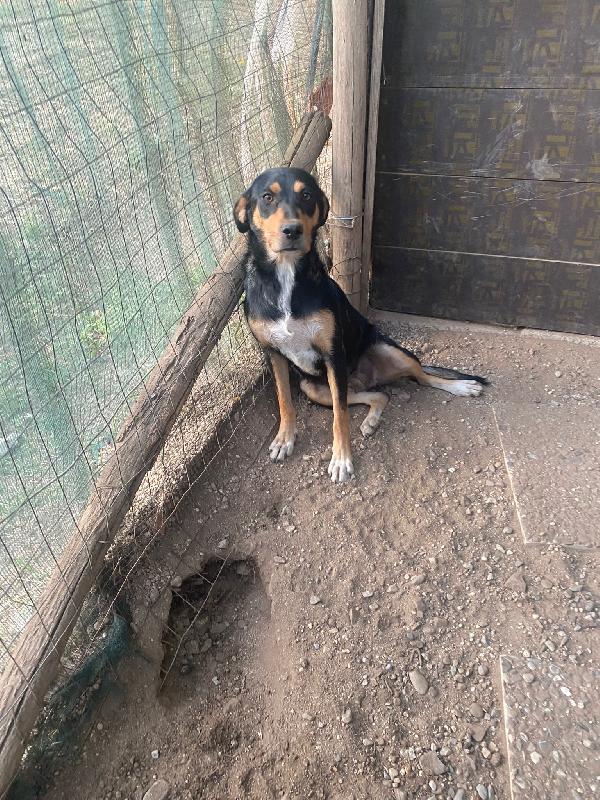 Dolcississima Lea Cerca Casa