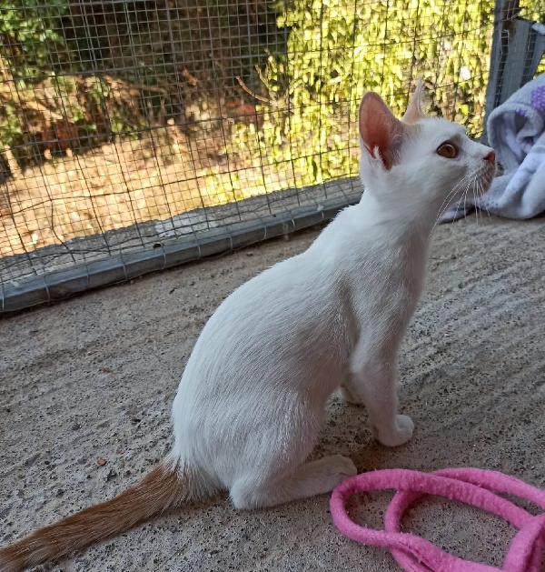  Bigne': 3 Mesi Dolce E Socievole 