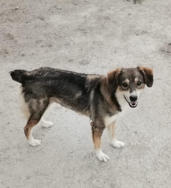  Kira: Giovane, Equilibrata, Socievole E Dolce 