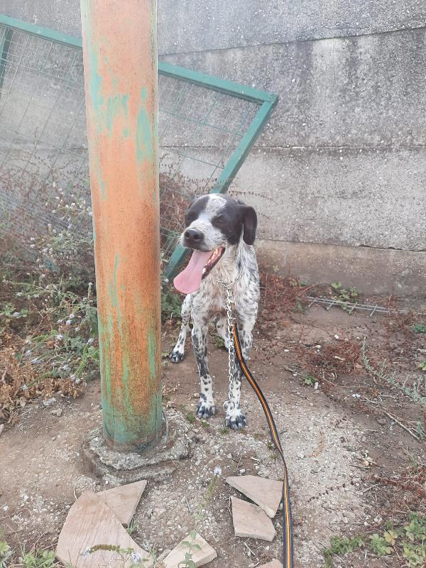 Andrea: Taglia Contenuta, Giovane, Timido Ma Dolce 