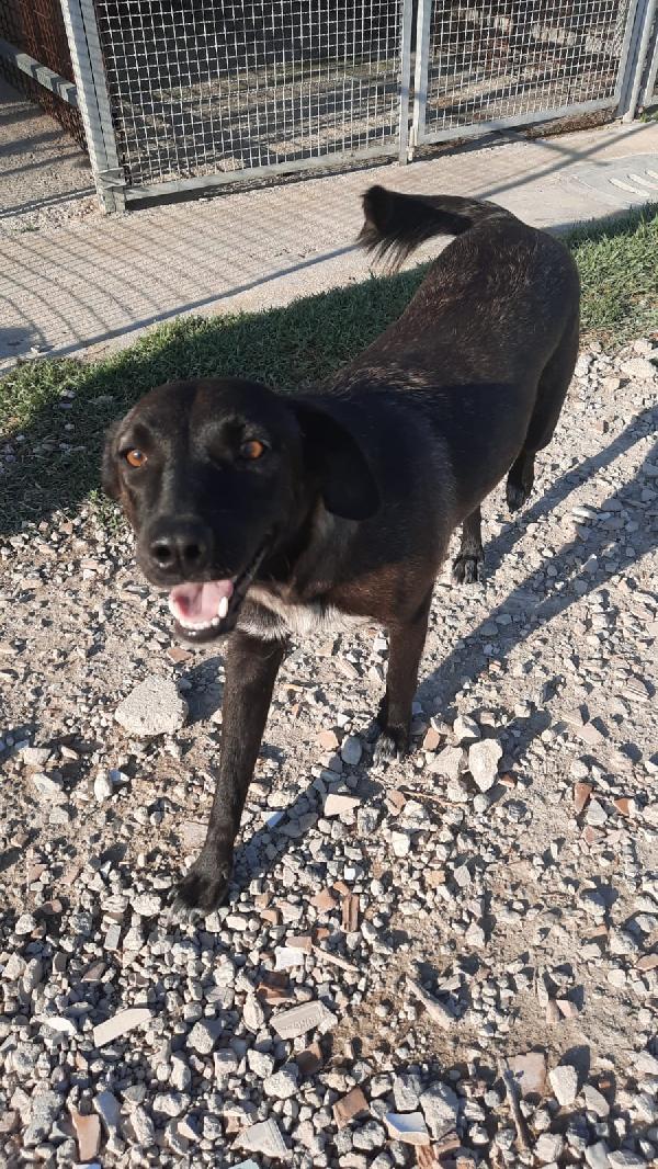 Mirta: 1 Anno Carattere Stupendo 