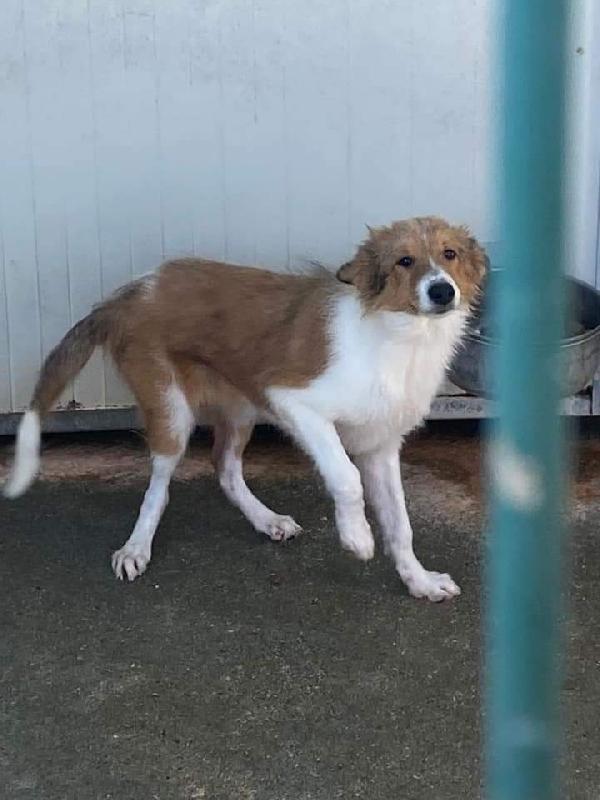 Giada, Taglia Media!