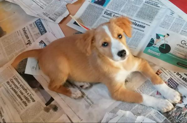  Nocciolina: 3 Mesi Taglia Contenuta 