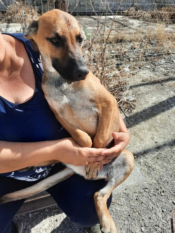  Luciano: 7 Mesi Taglia Media 