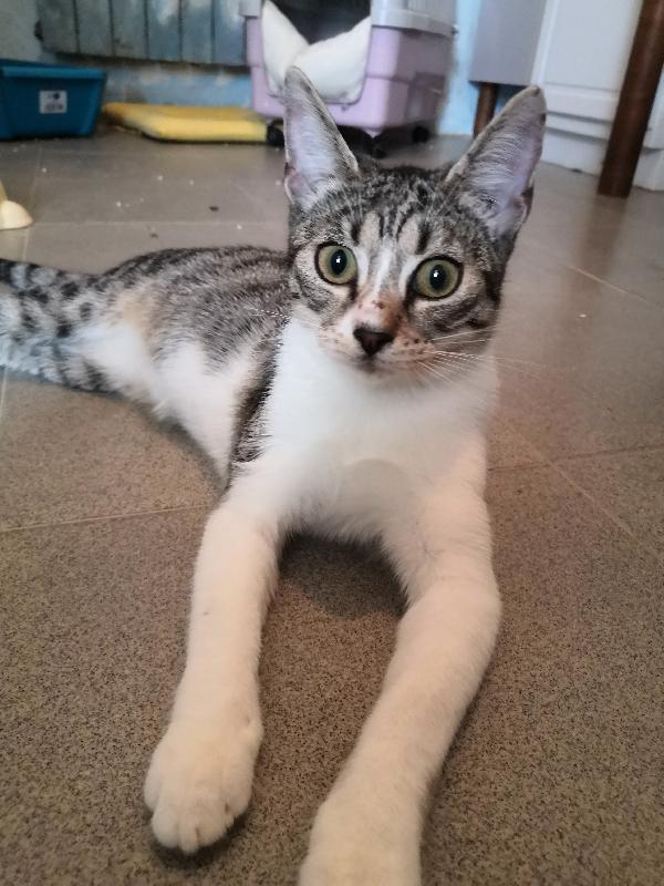 Mia Non Ha Mai Ricevuto Una Richiesta 