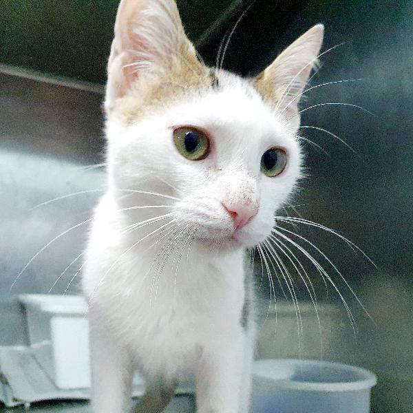 Adorabile Eni 4 Mesi E Mezzo