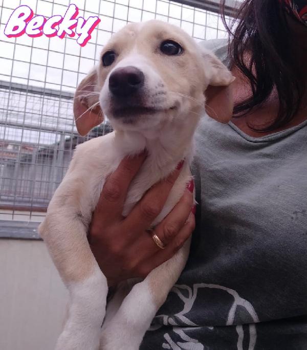 Becky Dolce Cucciolotta 