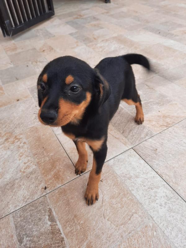  Anna: 4 Mesi Taglia Contenuta 