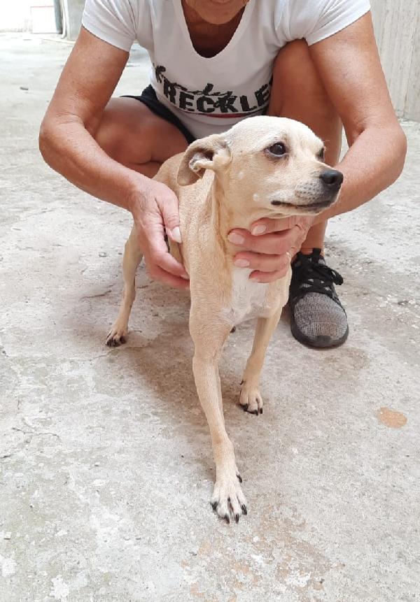  Rita: Giovane Taglia Piccola Socievole Con Tutti 