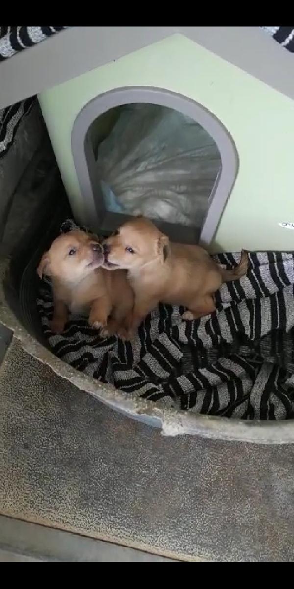  Maschietti 2 Mesi Taglia Piccola 