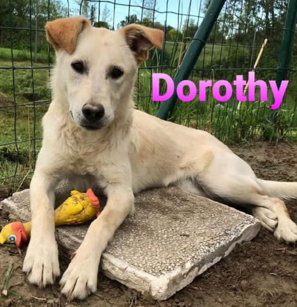 Adotta Dorothy