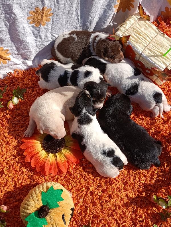 6 Sorelline In Cerca Di Casa 🏡