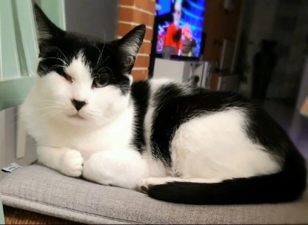 La Dolce Biba Cerca Casa