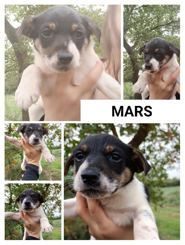 Mars In Cerca Di Casa