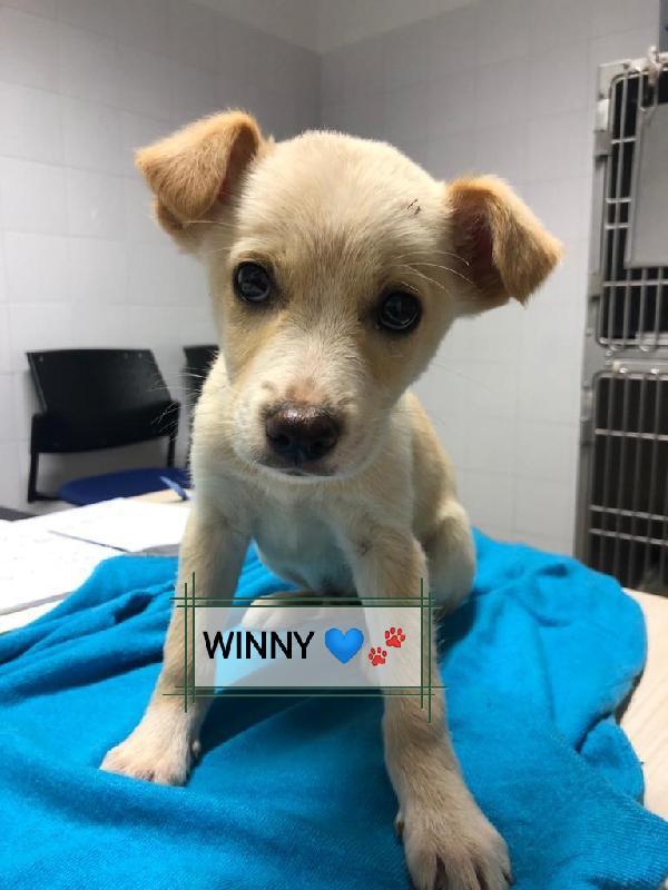 Winny Ultimo In Un Freddo Box