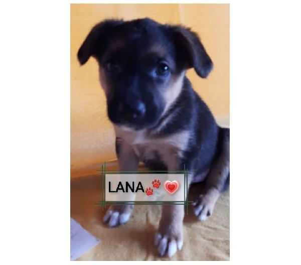 Lara Una Speranza Anche Per Lei 