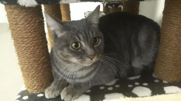 La Dolce Perla Cerca Casa