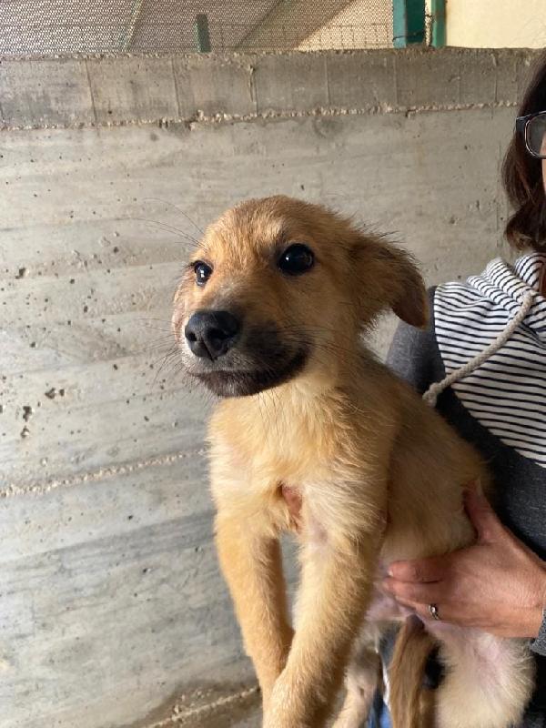 Una Famiglia Tutta Mia 