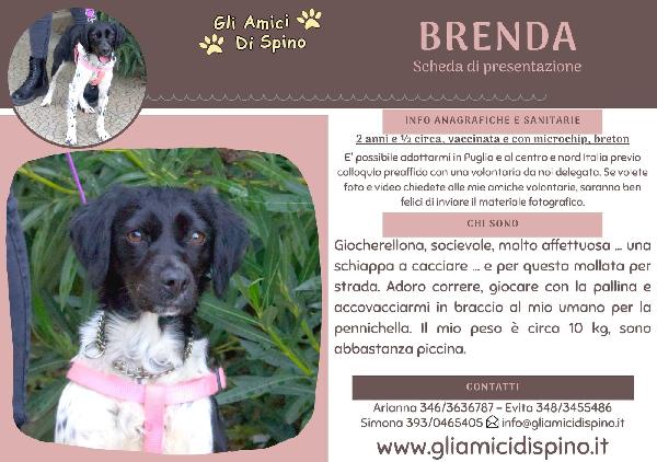 Brenda