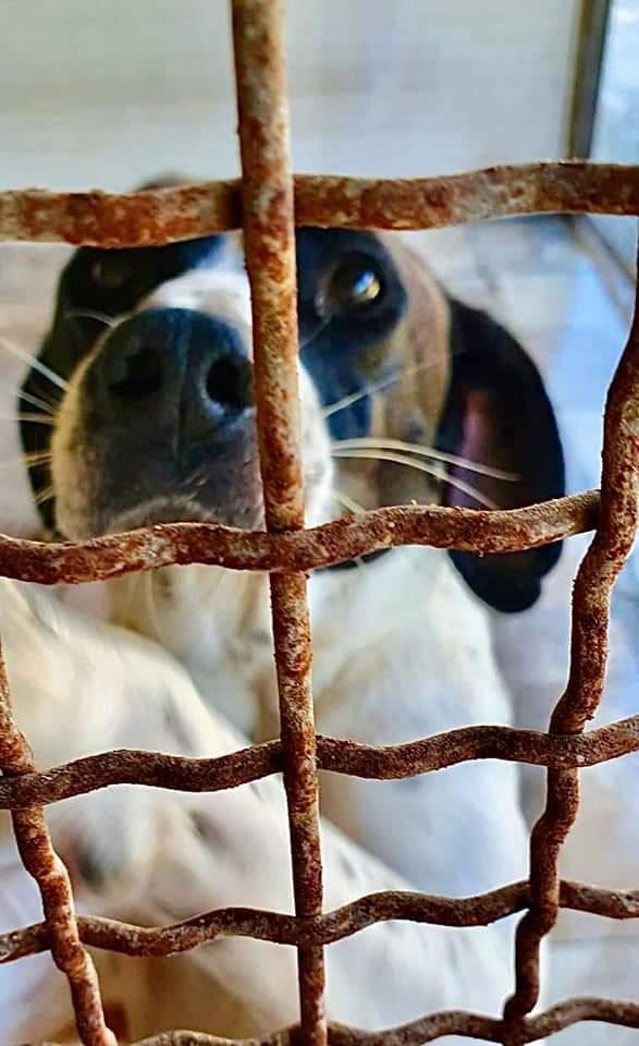 Aurora, Mix Pointer! 