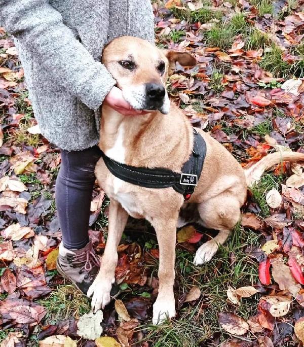 Peppino Taglia Grande Molto Dolce