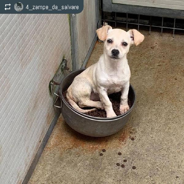 Camilla, Taglia Piccola!