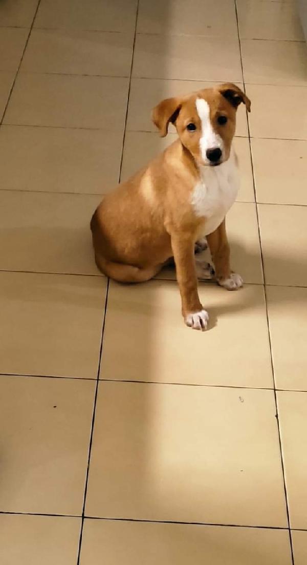 Sissi, Taglia Media Contenuta!