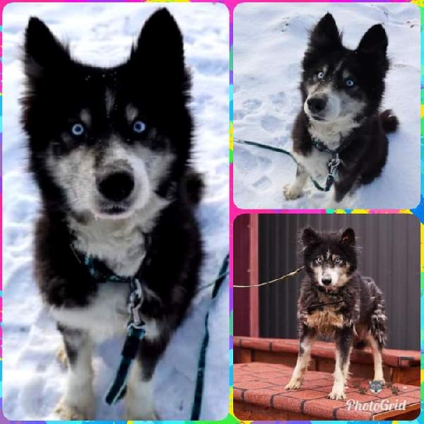 Estella! (4 Anni-12-13Kf)