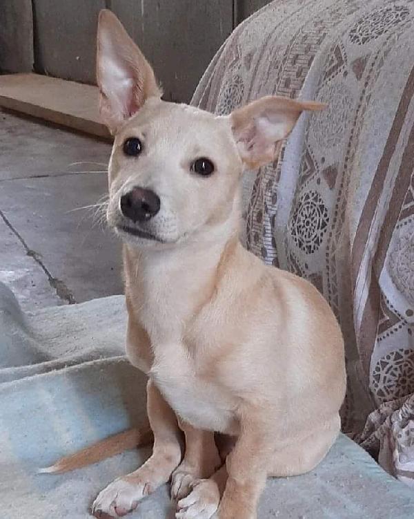 Rudolf Cerca Casa🏡🏡