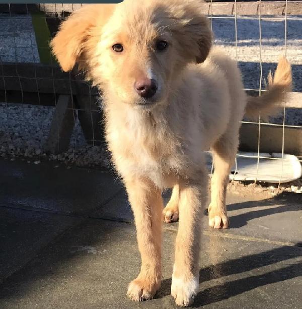 Flokina, Taglia Medio Piccola!