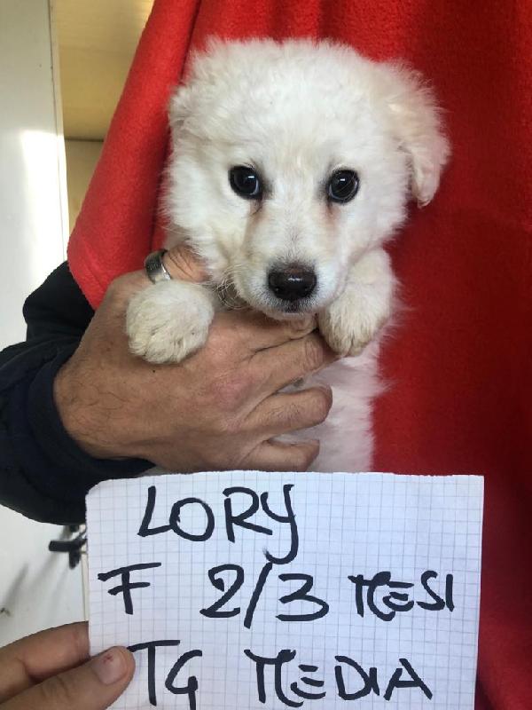 Lory Aspetta Una Favola 