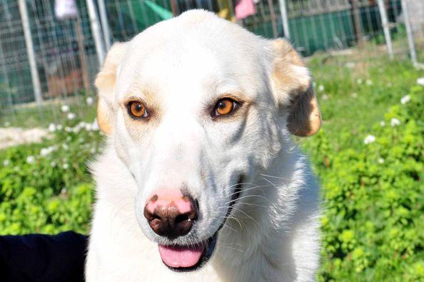 Patata,Dolcissima E Coccolosa -35Kg 10 Mesi 