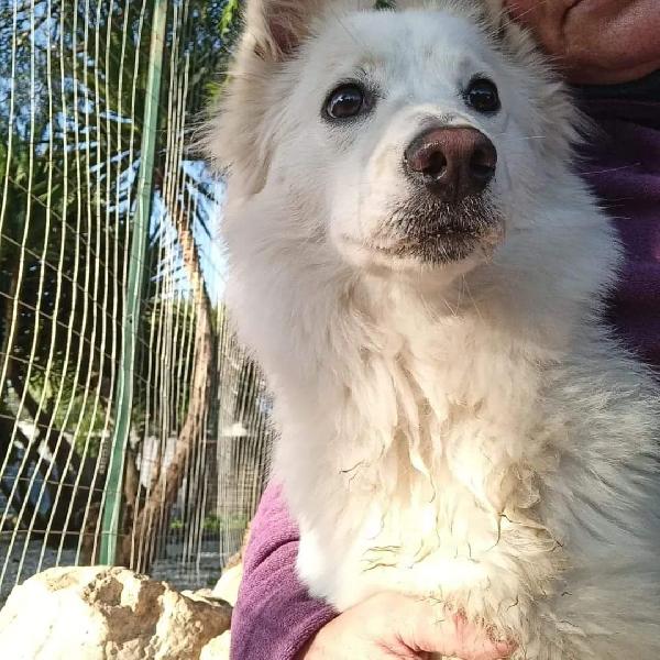 Bella Cerca Casa! Contattaci