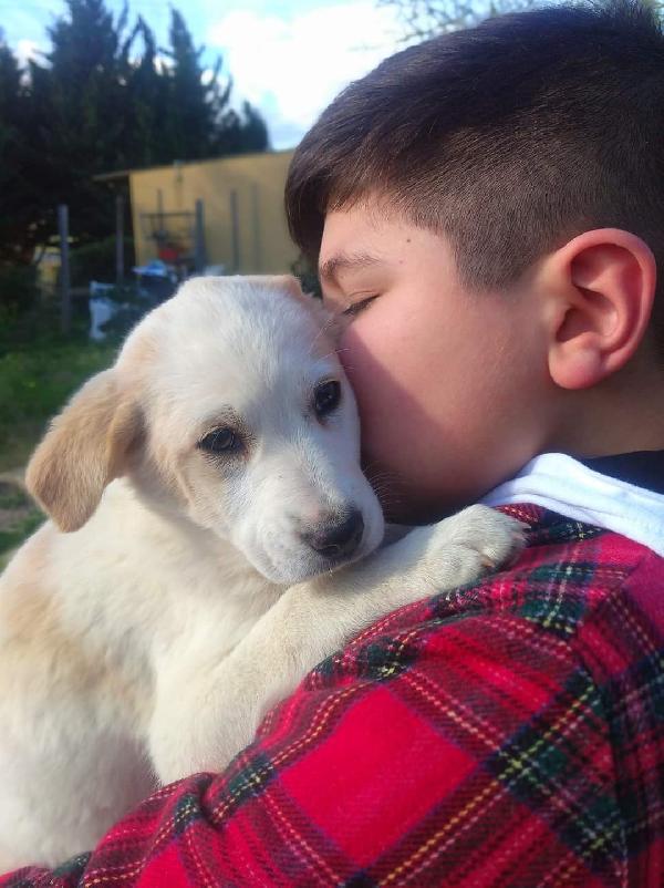 Cucciola Di Tre Mesi In Adozione ❤️