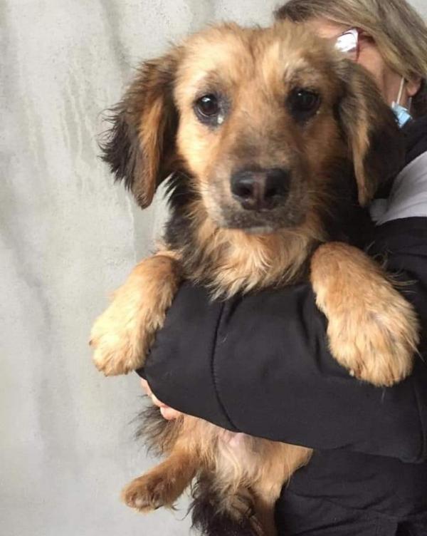 Noè  Cerca La Sua Famiglia