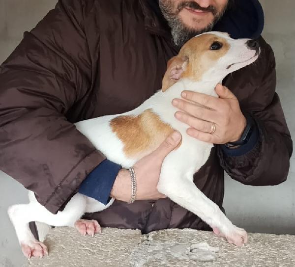 Mon Chery   Taglia Piccola