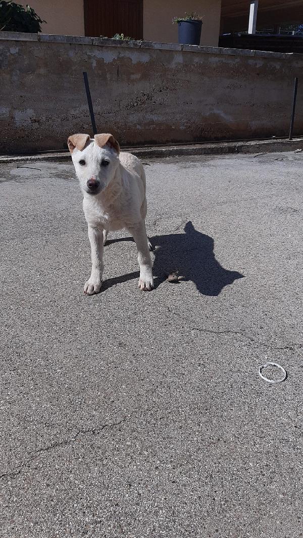 Dolcissima E Piena Di Vita Neja