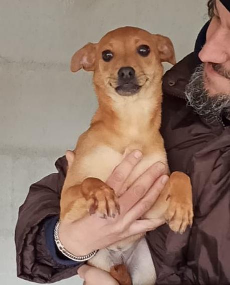 Rocher Taglia Piccola