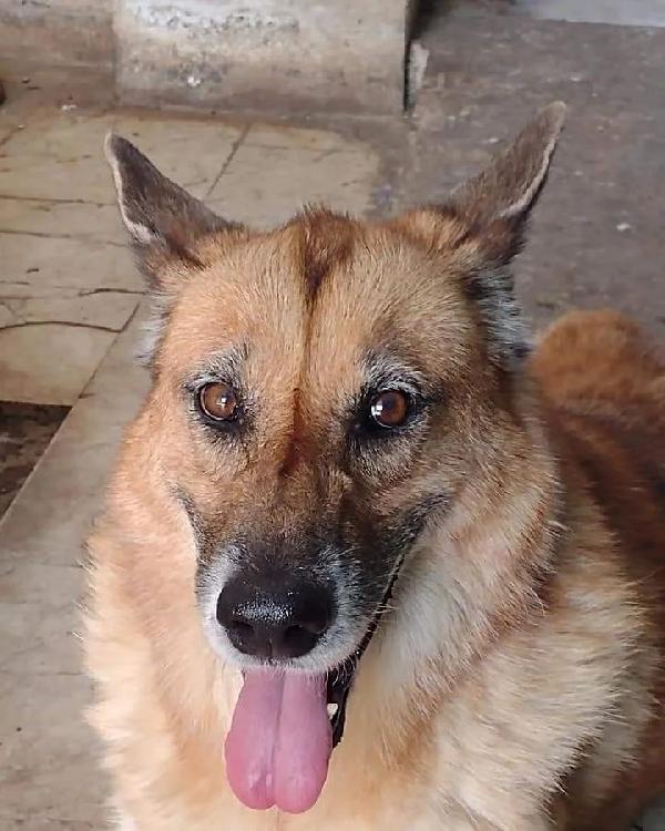 Licia, Dolcissima Nonnina Sprint Piena Di Vita E Amore