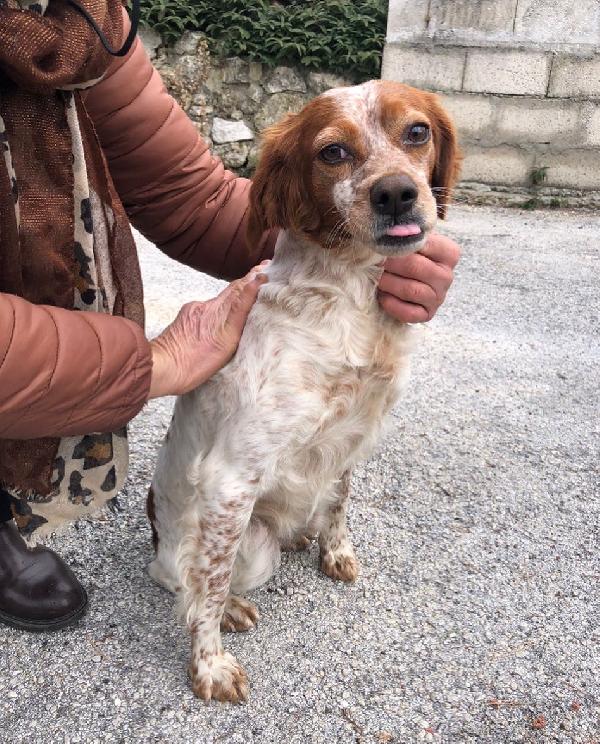 Diana E La Sua Rivincita 