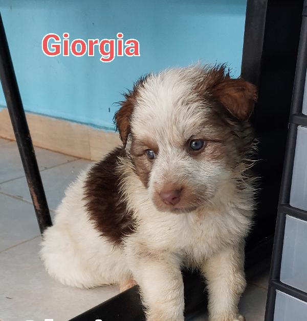 Bruna Giorgia E Florinda