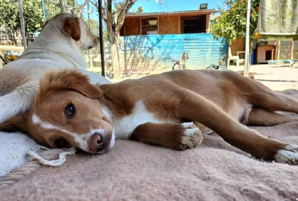 Rio, Taglia Medio-Contenuta!