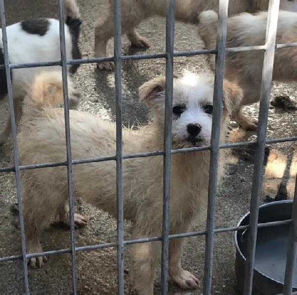 Tania, Taglia Medio-Piccola!