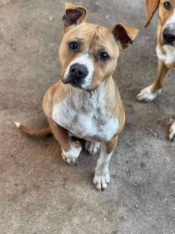 Wendy, Taglia Media!