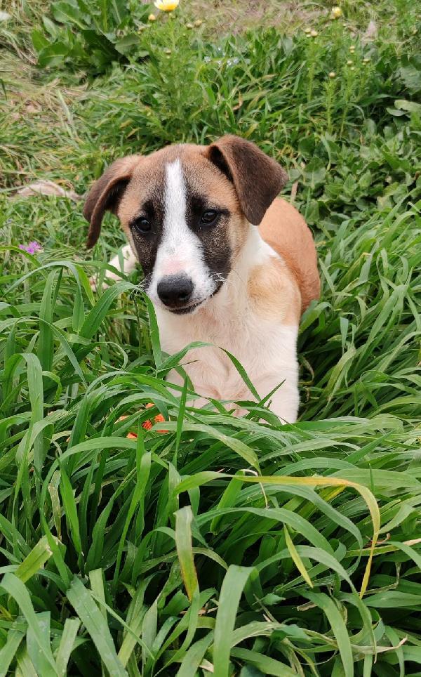 Zaira Cucciola Meravigliosa ❤️