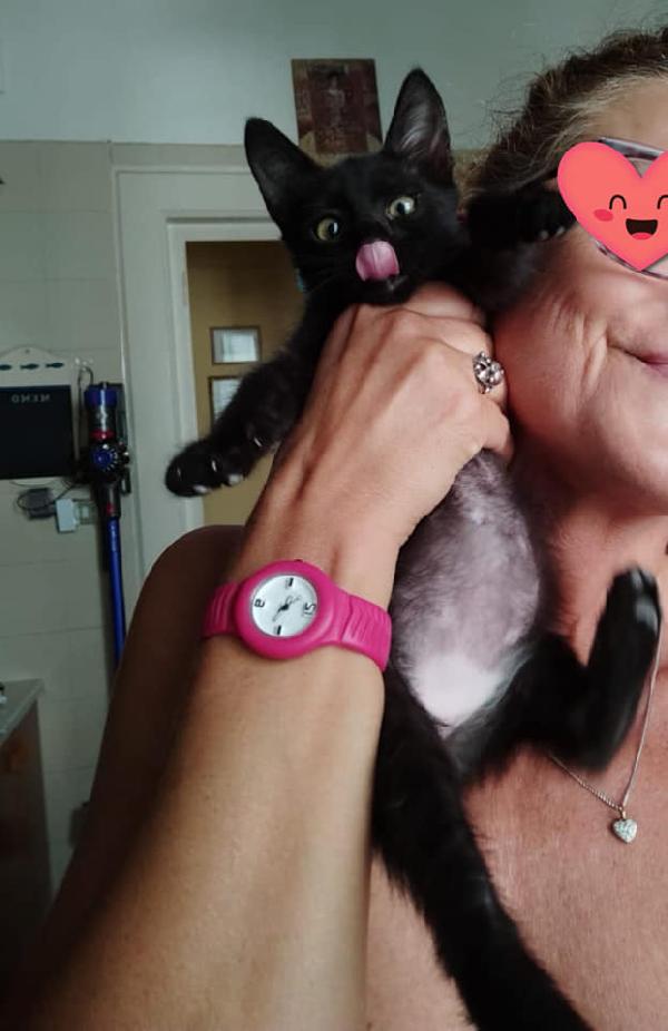 Lizzy, Nera Magnetica -2 Mesi