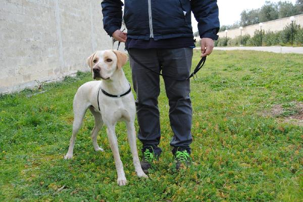 Innamoratevi Di Milo E Non Ve Ne Pentirete Mai!